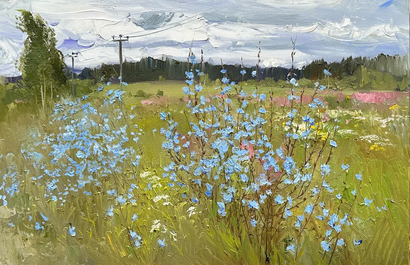 Васильковое поле
Cornflower field - Ekaterina Chinenova Екатерина Чиненова