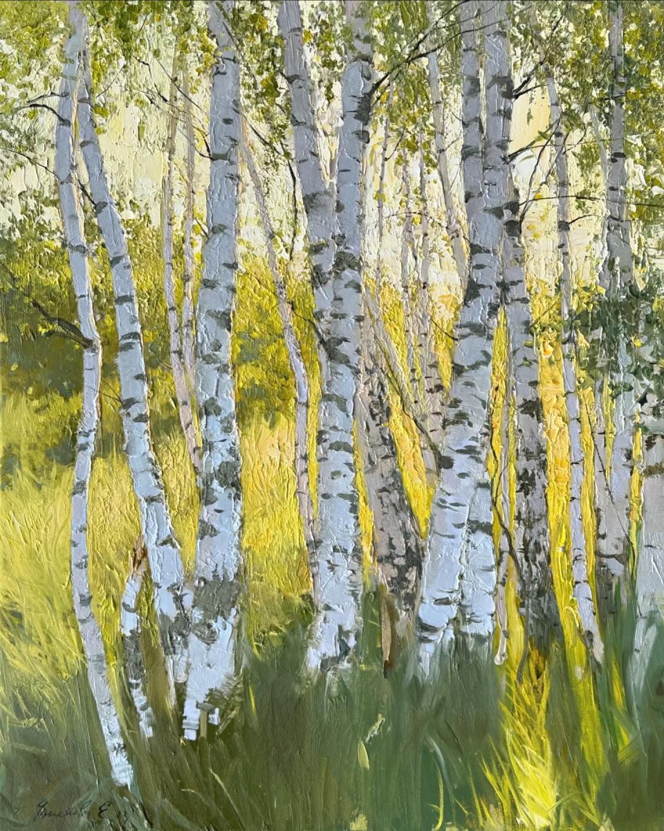 Березки в солнечных лучах
Birch trees in the sun  - Ekaterina Chinenova Екатерина Чиненова