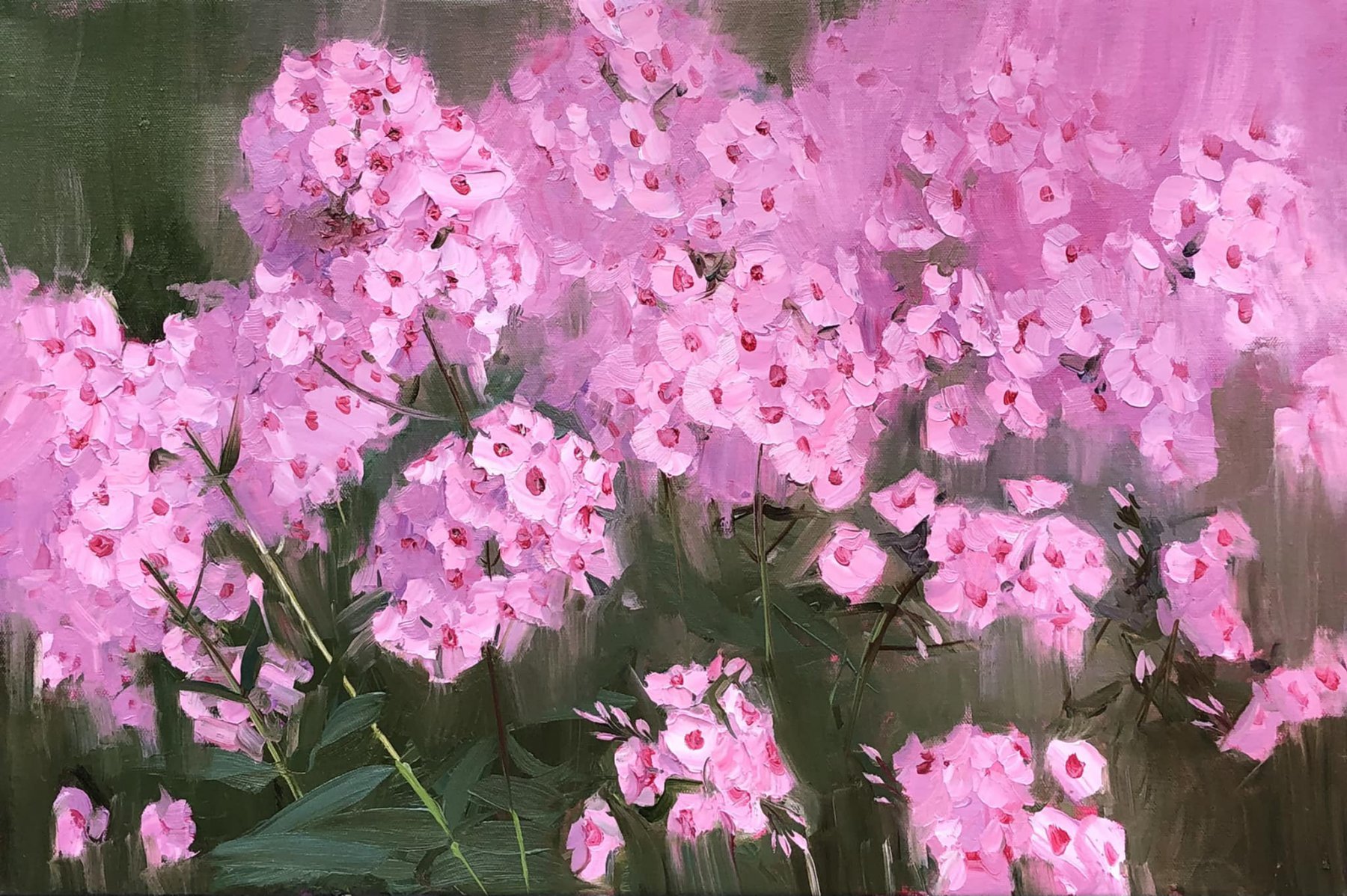 Клумба с флоксами
Flowerbed with phlox  - Ekaterina Chinenova Екатерина Чиненова