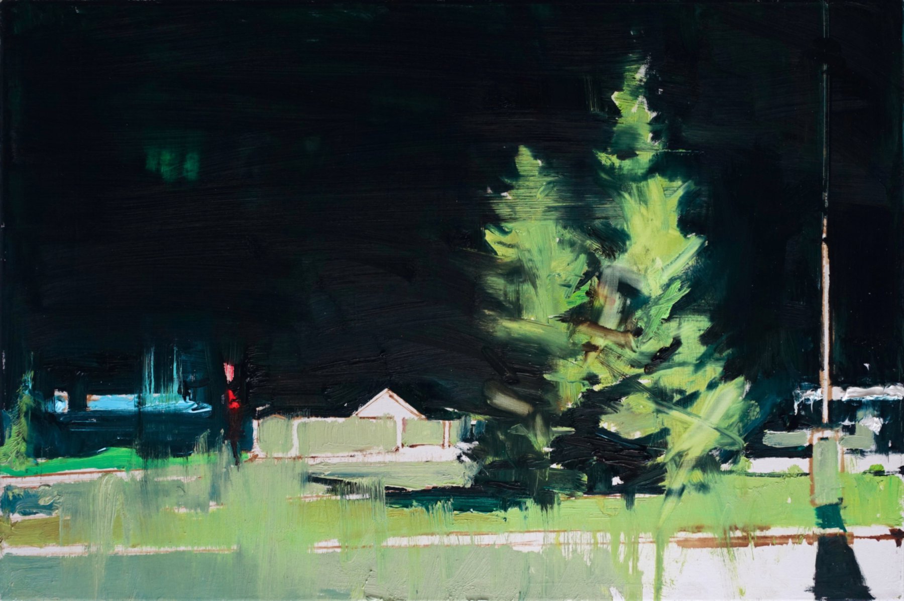 Pine trees - Juraj Florek