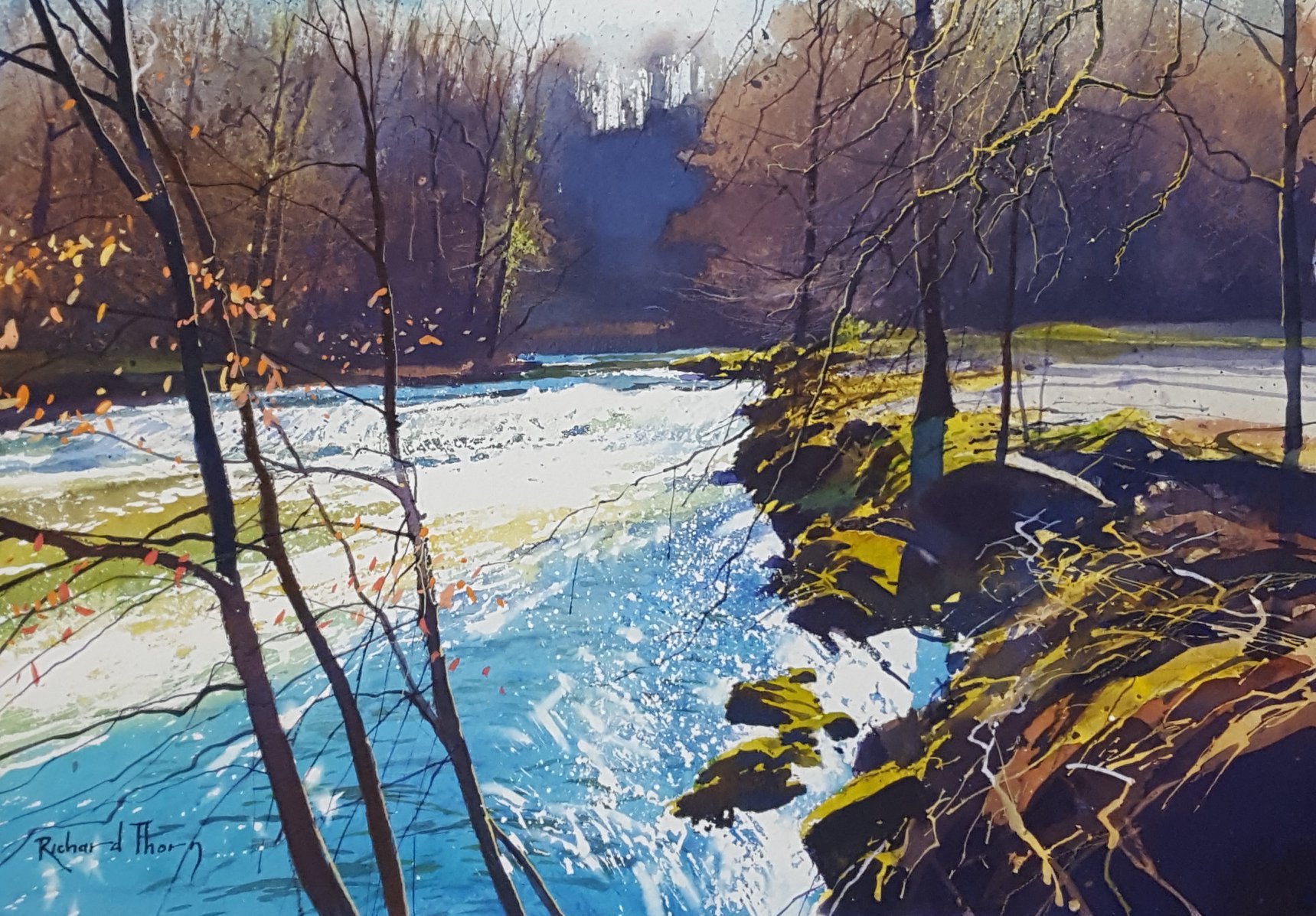 The weir on the River Bovey - Richard Thorn