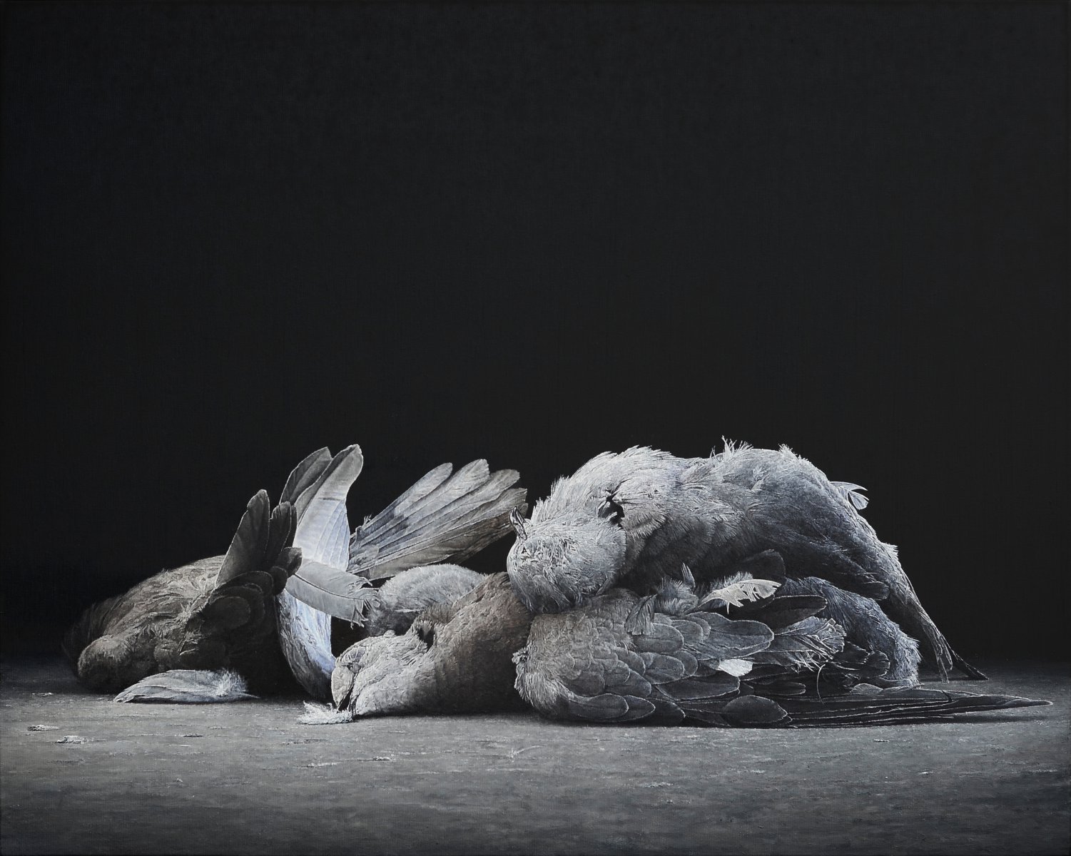 Doves - Christoph Eberle
