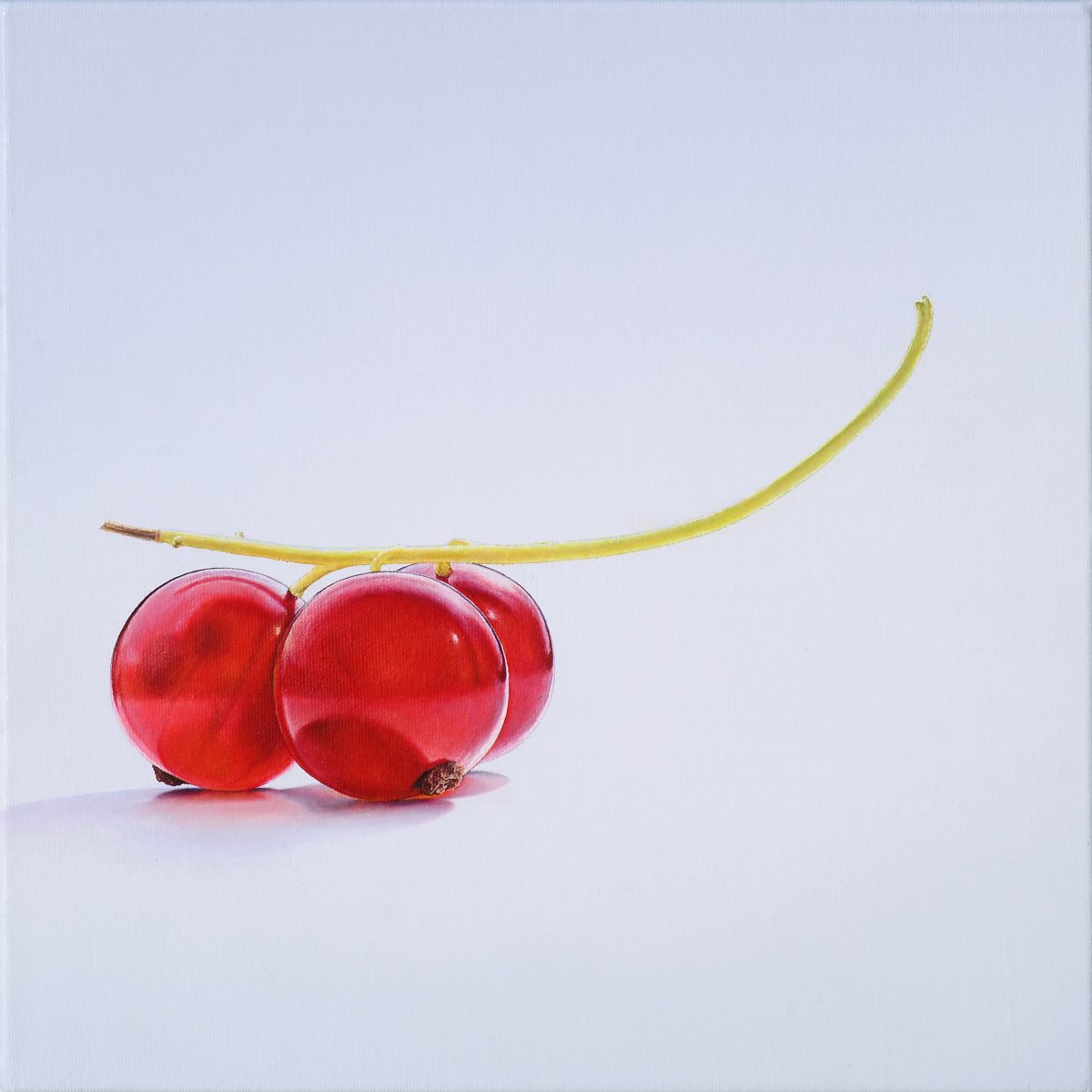 CURRANT / JOHANNISBEEREN - Christoph Eberle
