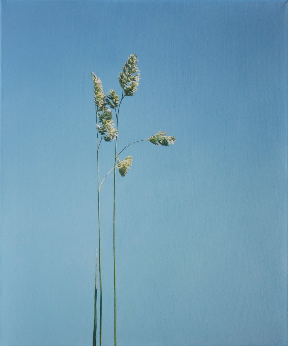 Gras - Christoph Eberle