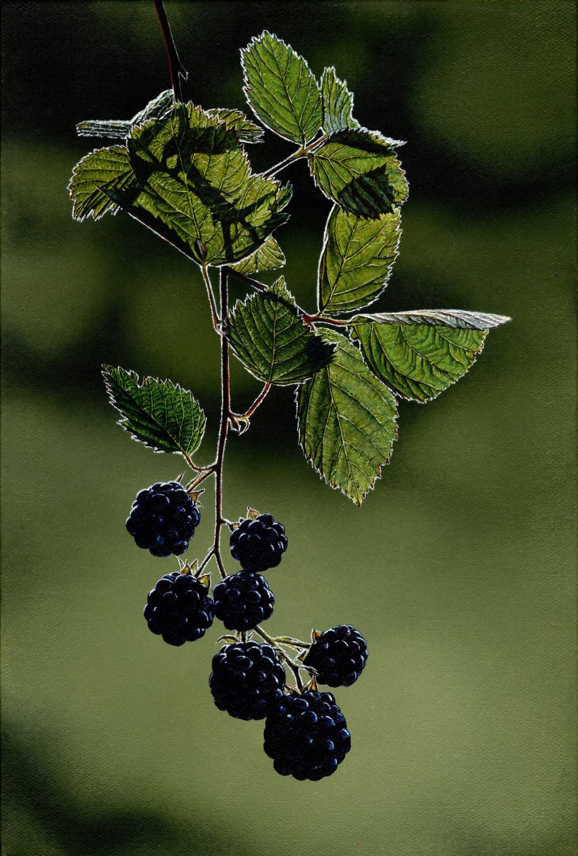Brombeer - Christoph Eberle