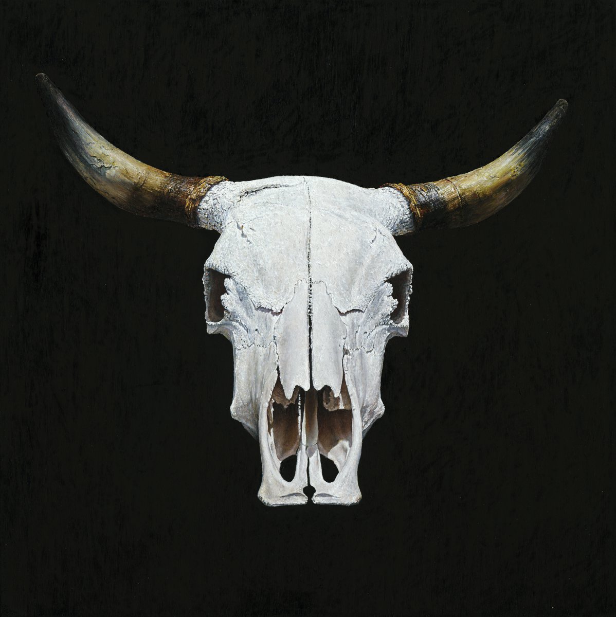 Cow - Christoph Eberle