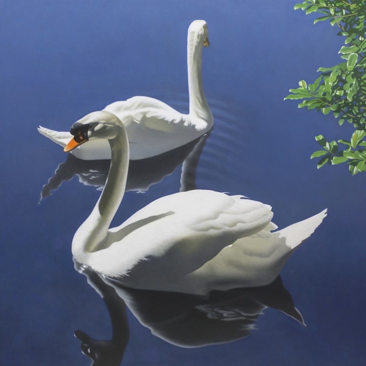 Two Swans - Ronald Bowen