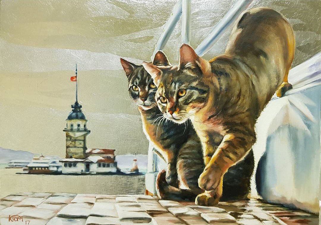 Yulia Krinitchina - Istanbul cats