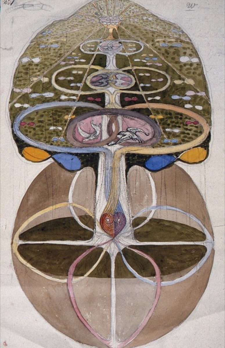 Tree of Knowledge - Hilma Af Klint