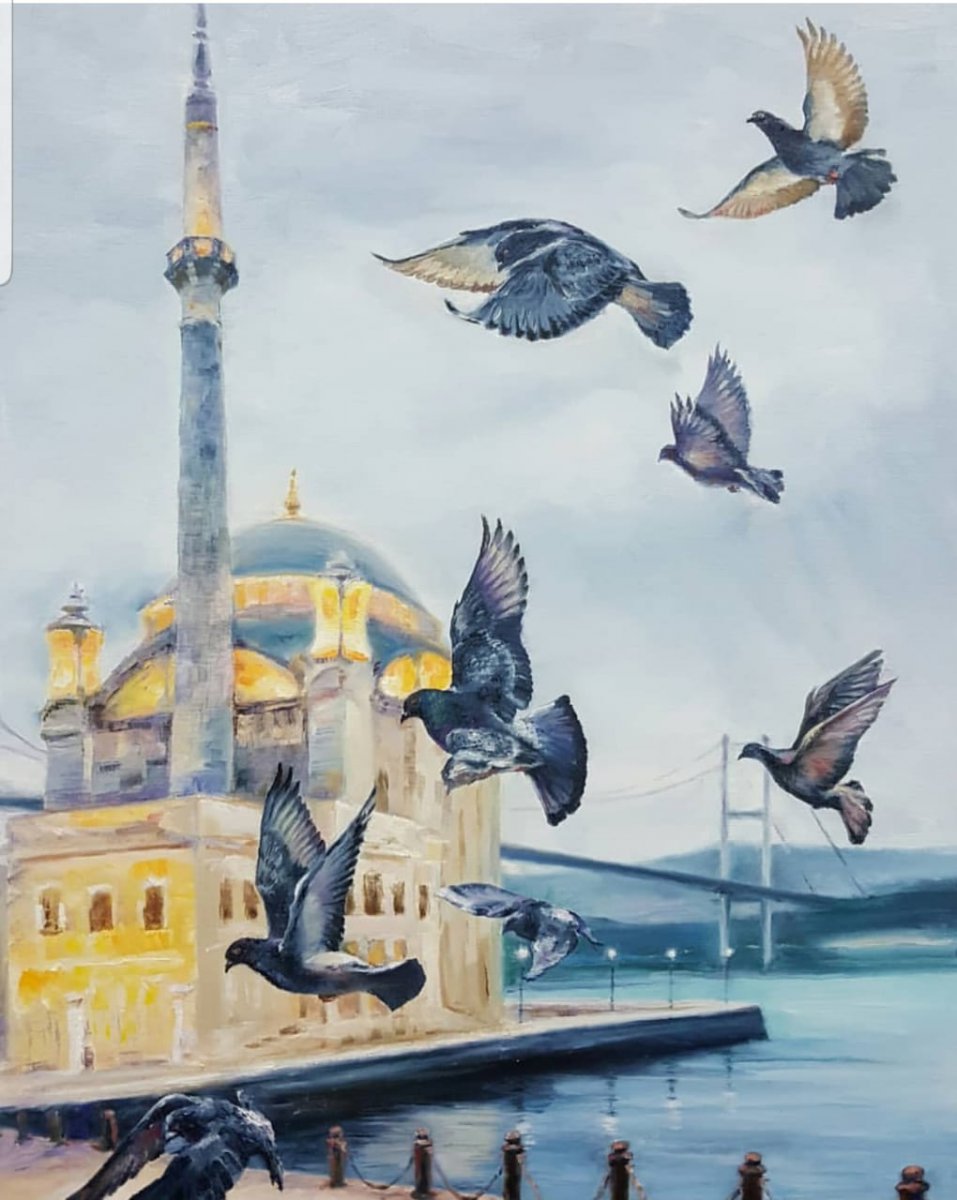 Yulia Krinitchina - Istanbul and pigeons