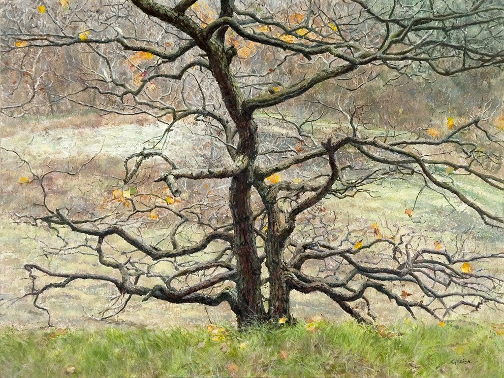 Little Oak Tree in the Dunes   - Gezien van de Riet