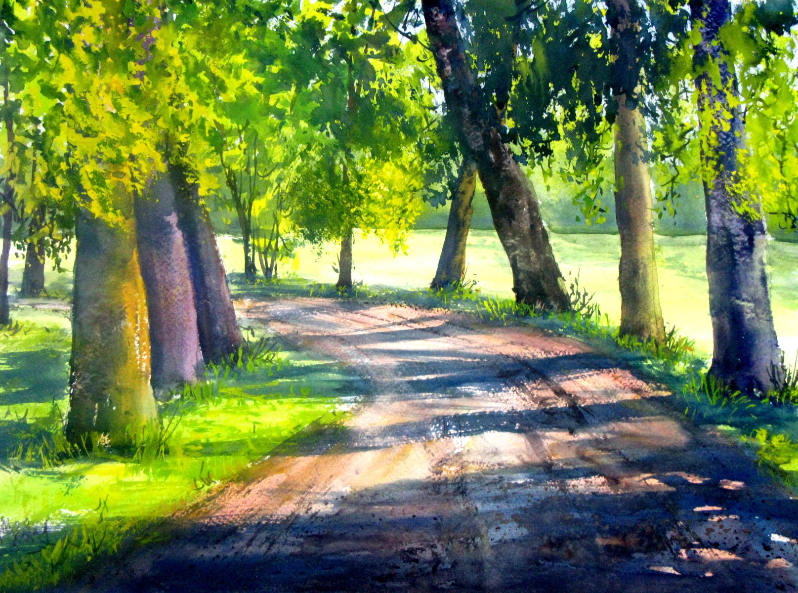 Allee im Sonnenlicht