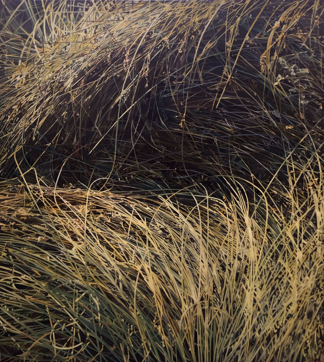Herbes II - Jacques Bodin