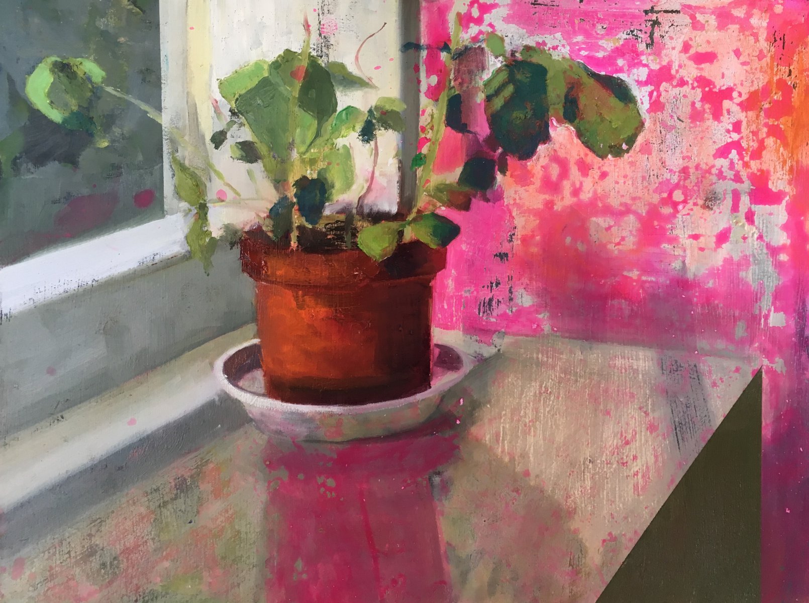 Pink fluor plant - Ramona Hielckert