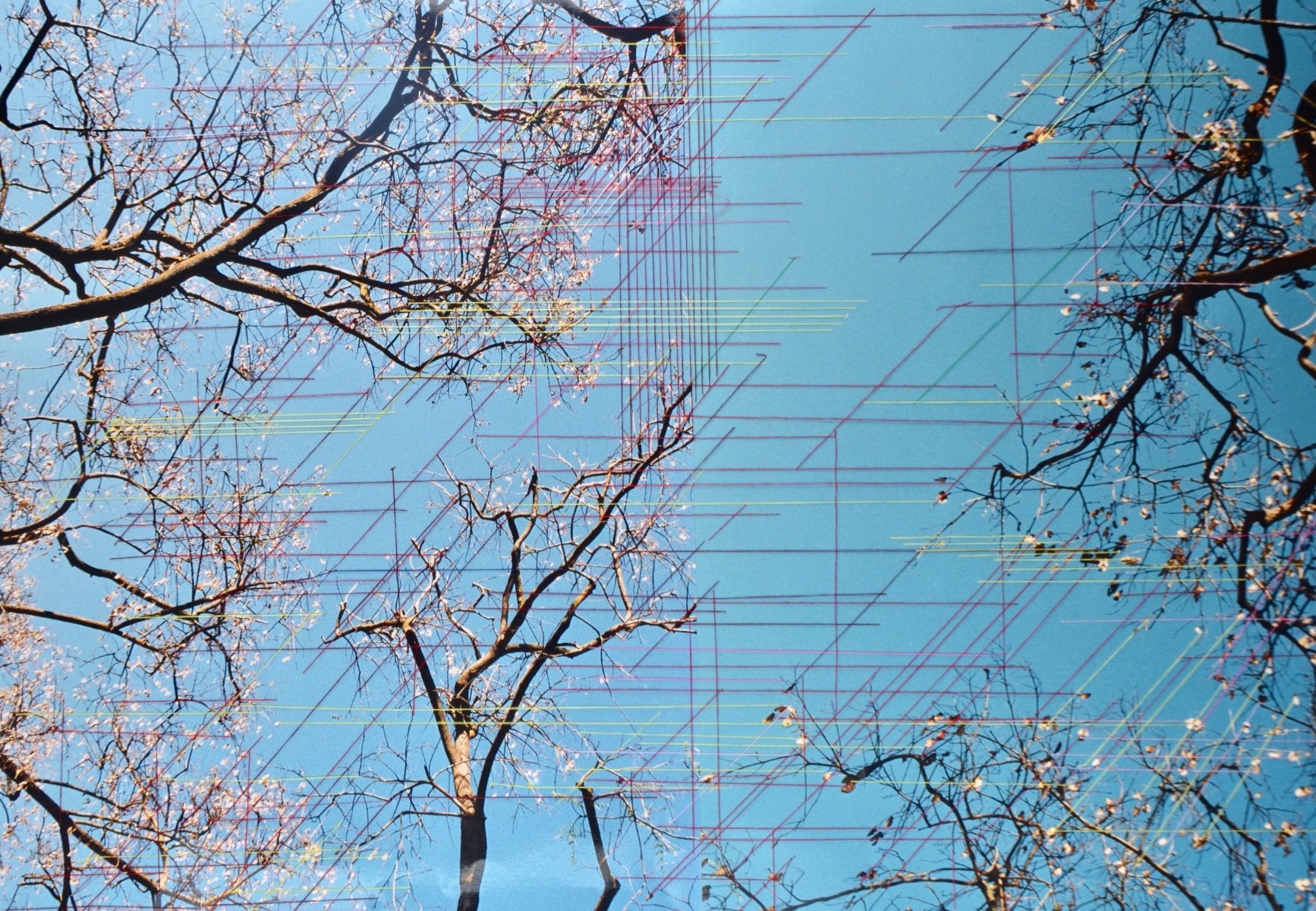 Landscape - Gisoo Kim