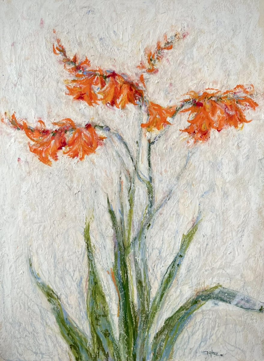 Dơn lúa
Rice paddies - Nguyễn Thị Hà