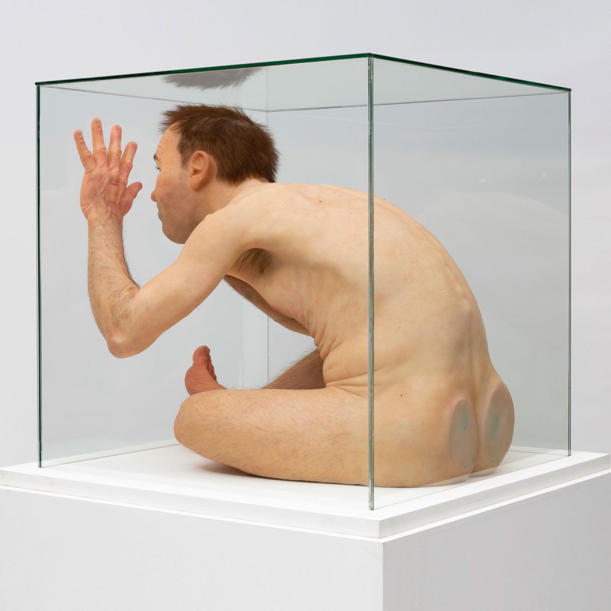 Man in a cube - Paul Trefry