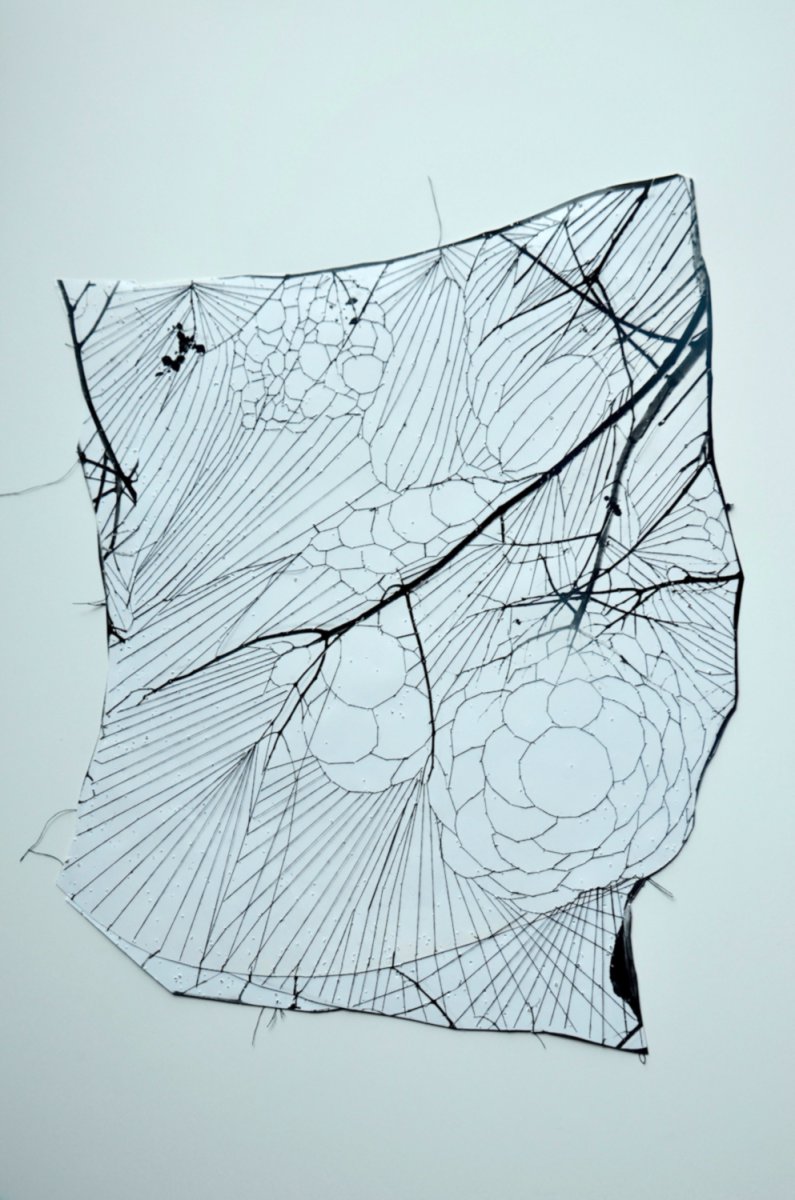 Linear - Gisoo Kim