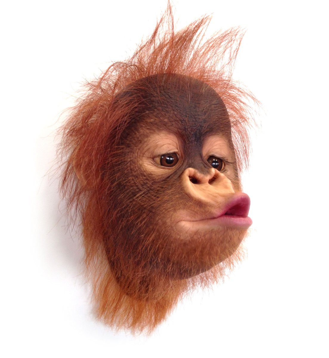 Last kiss goodbye - Paul Trefry