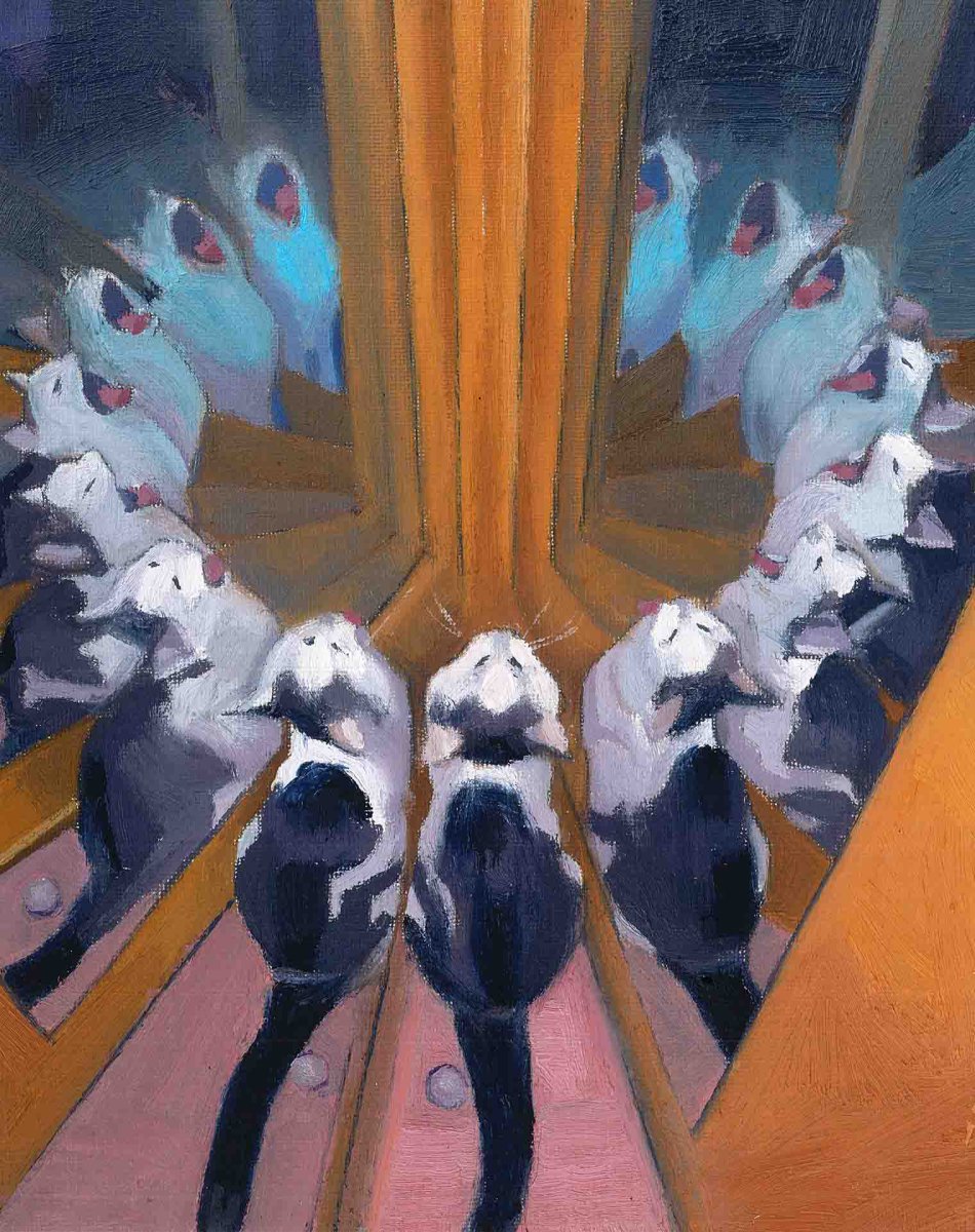 Infinity Cat - Daniel Arthur