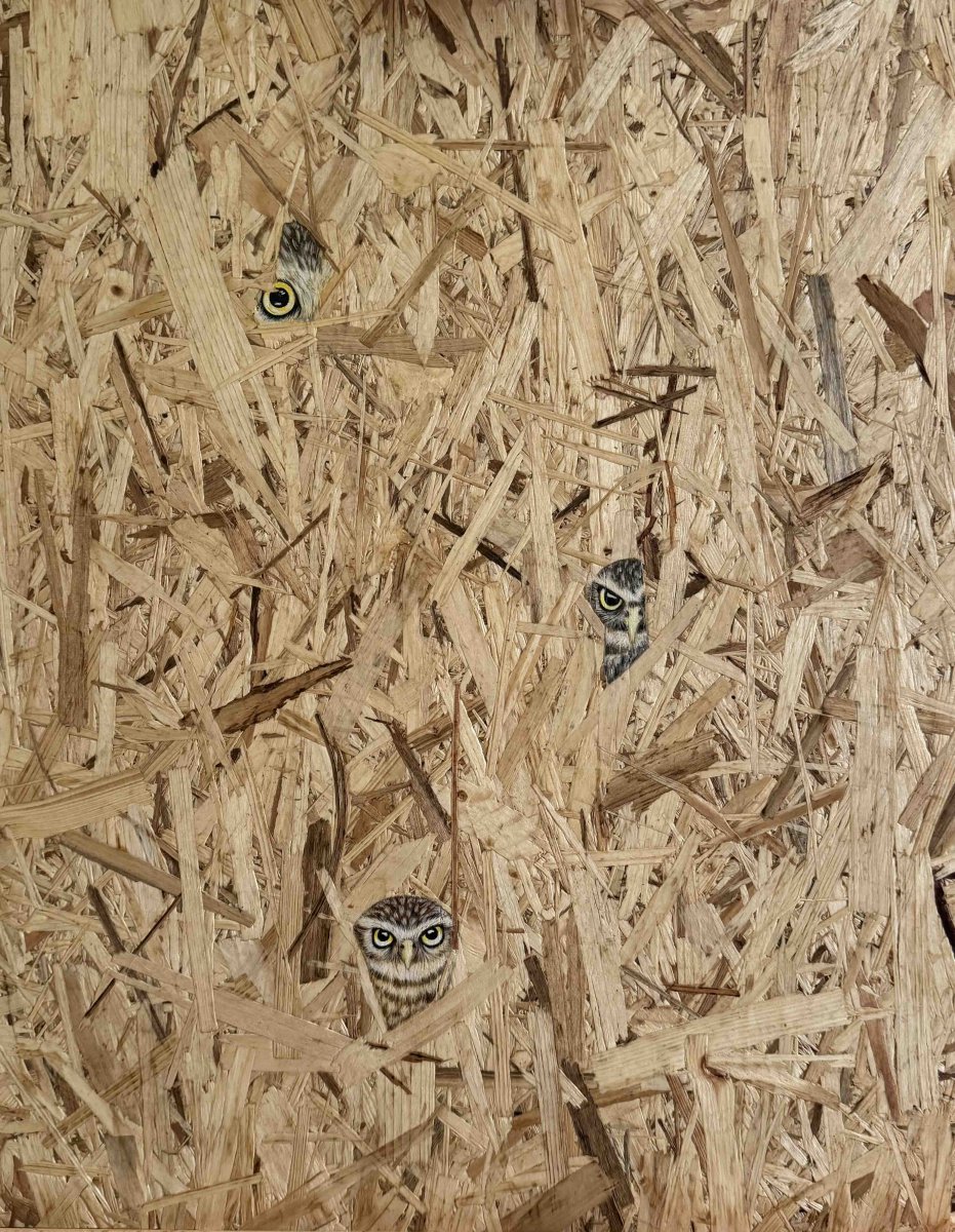 Wooden Lair - Laura Anido-Serrano