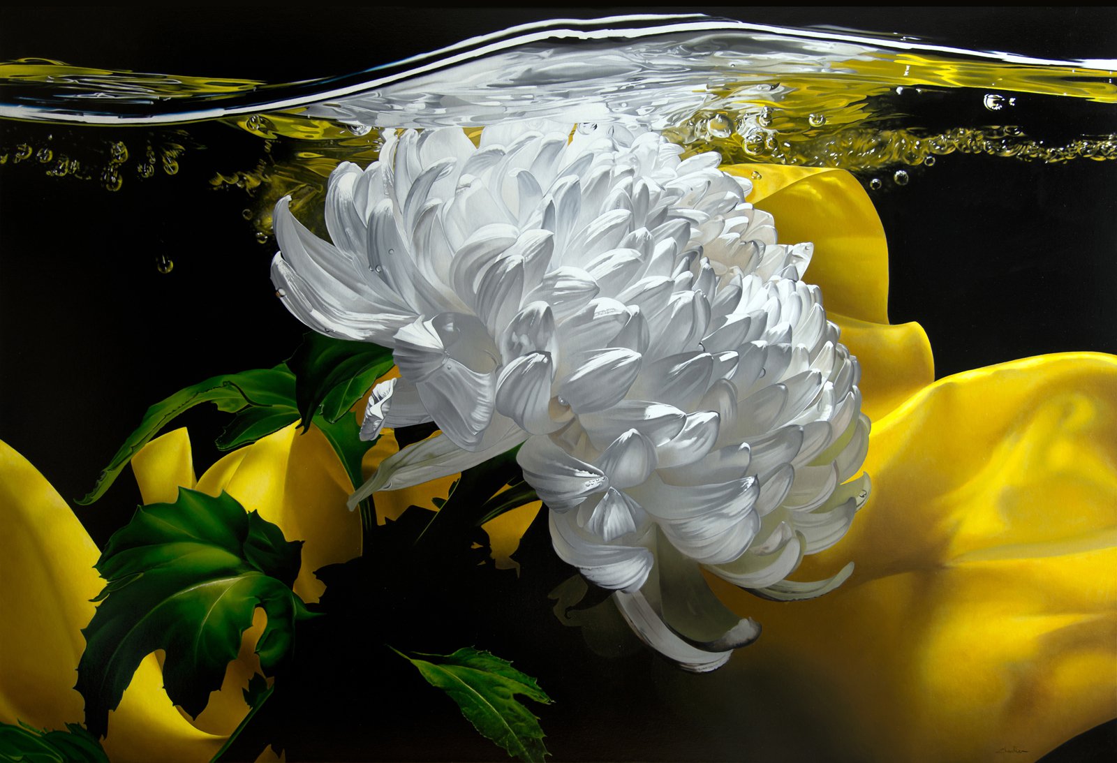 A BREATH OF FRESH AIR - FRANCOIS CHARTIER