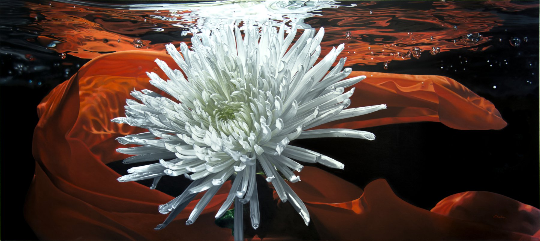 SUMMER PASSION - FRANCOIS CHARTIER
