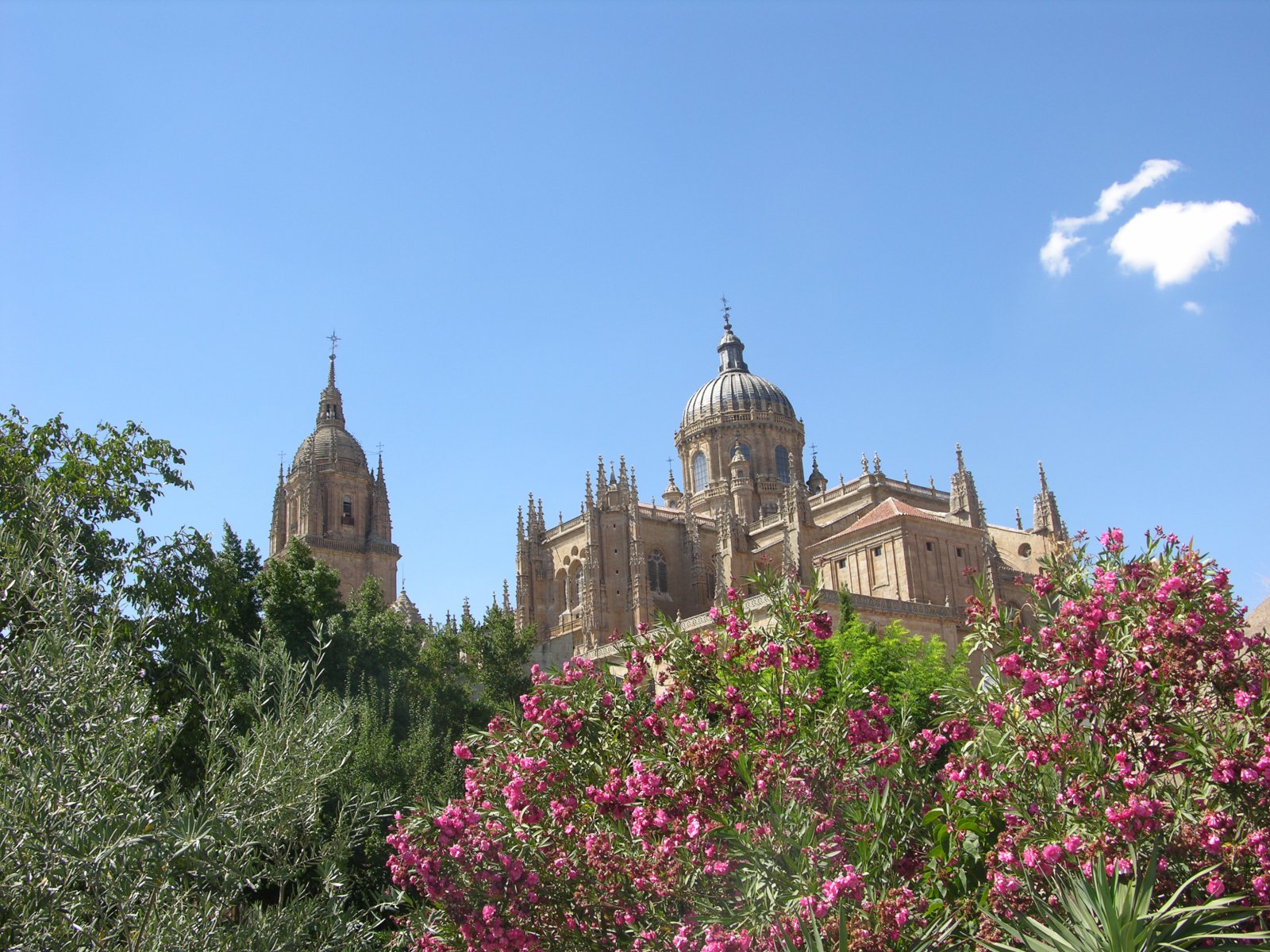 Salamanca de paseo - Christoph Lütke-Stetzkamp