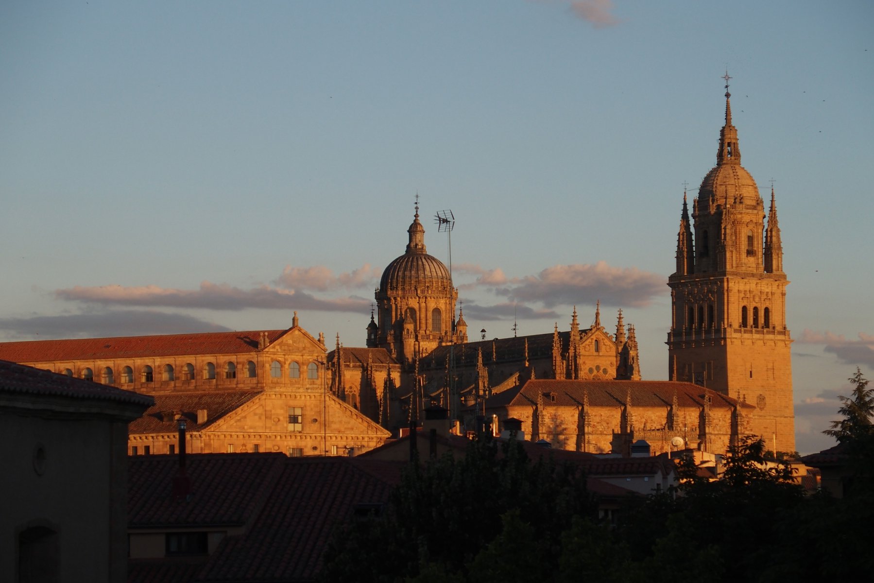 Salamanca de paseo - Christoph Lütke-Stetzkamp