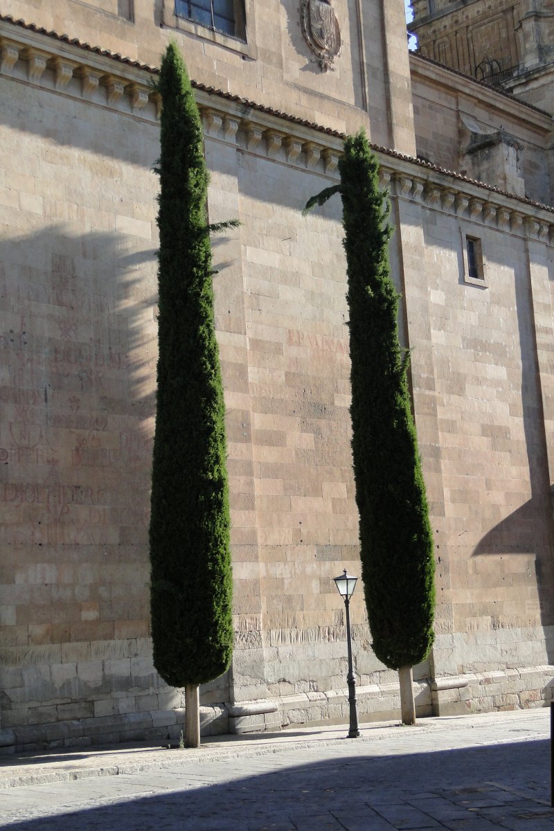 Salamanca de paseo - Christoph Lütke-Stetzkamp