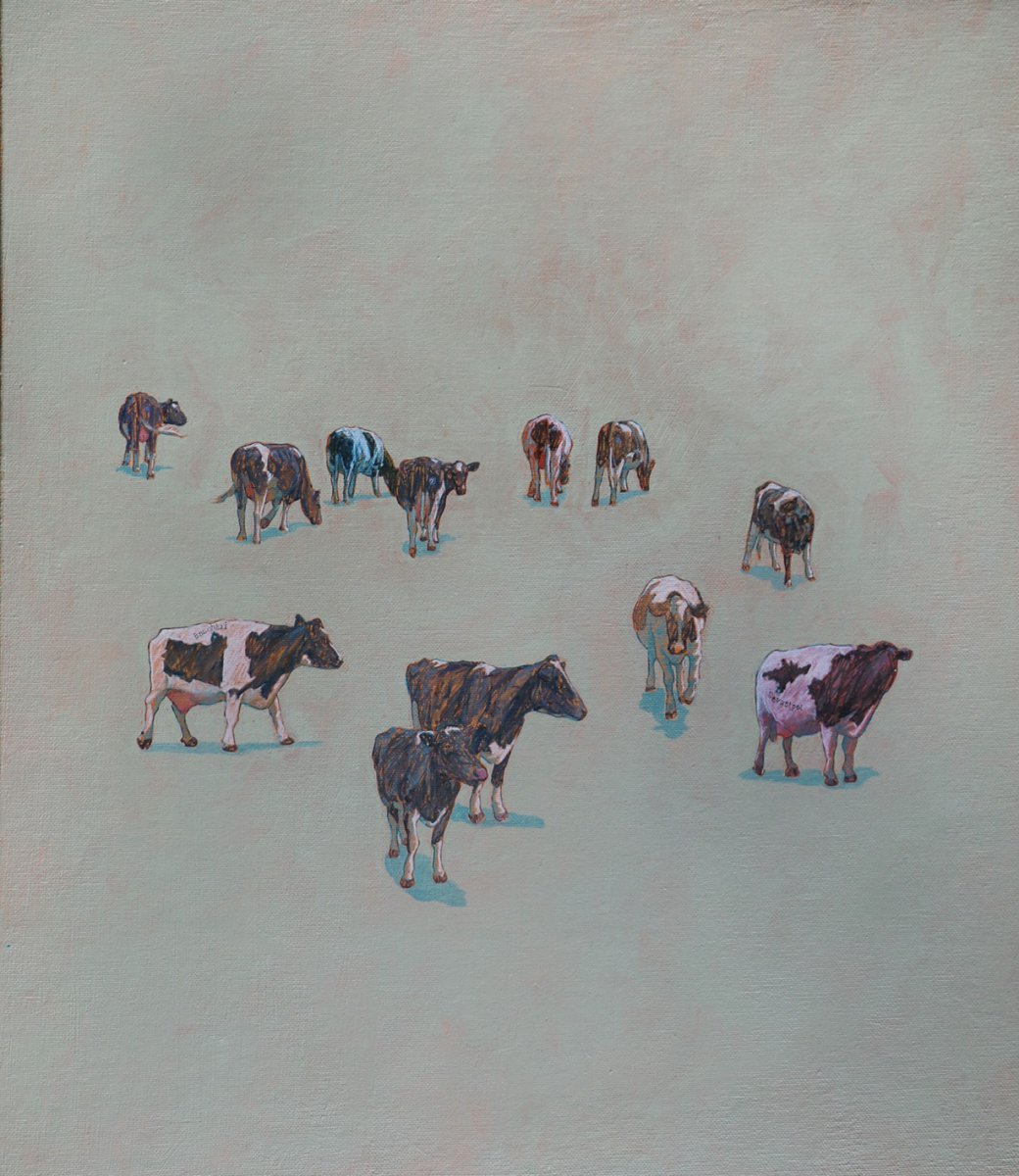 Cow Maps II - Duncan Wright