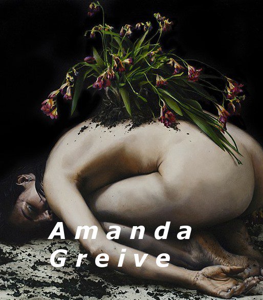 Exhibition of Amanda Greive