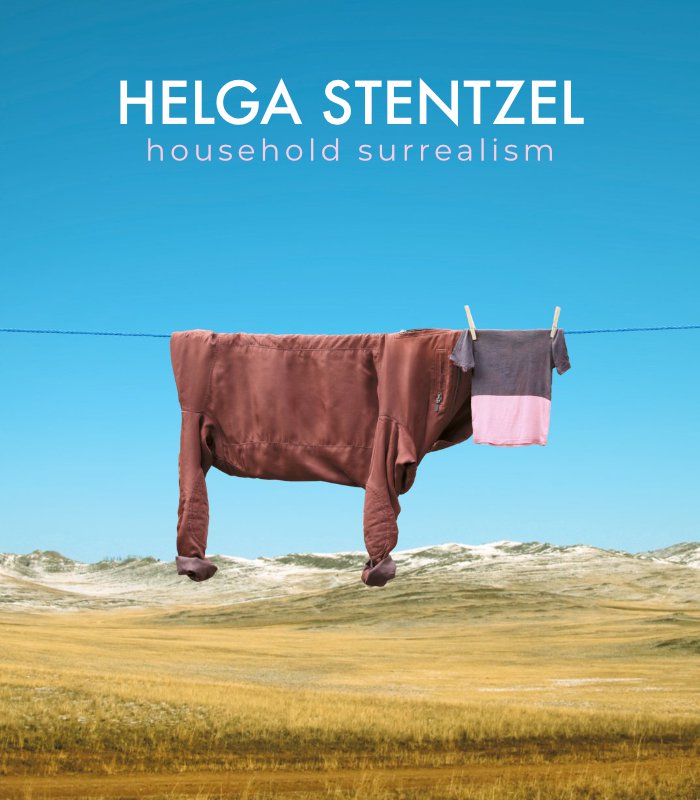 Helga Stentzel - Household Surrealism